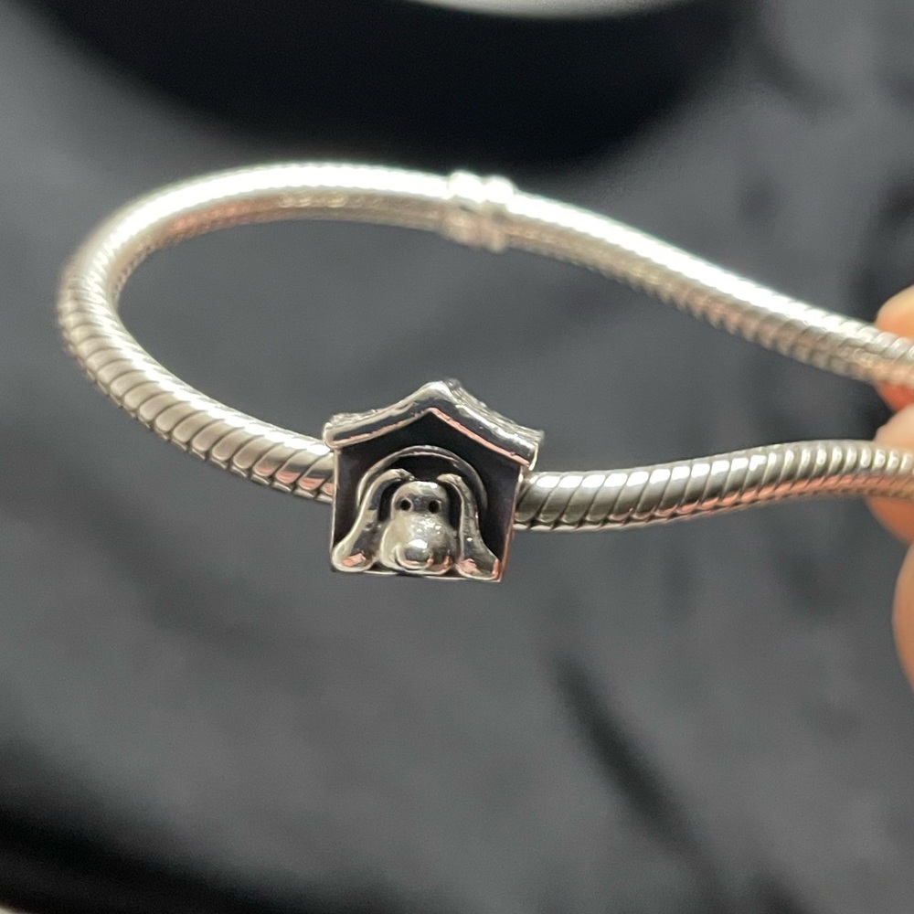 Authentic, Retired Pandora doghouse Charm
